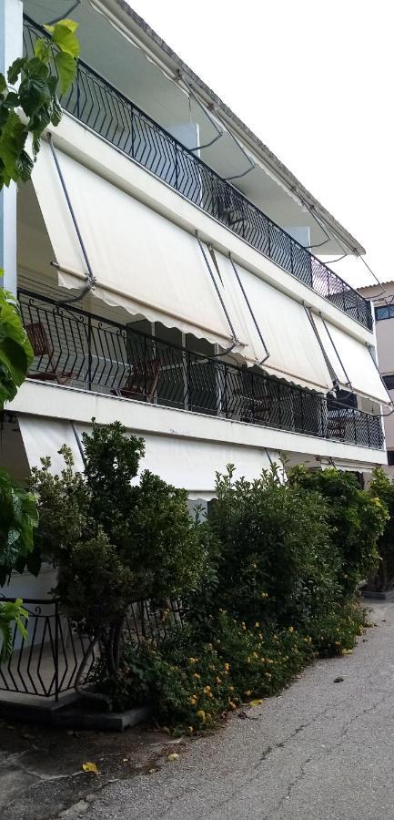 Γεώργιος Παπαϊωάννου Ενοικιαζόμενα Δωμάτια Khrónia Zewnętrze zdjęcie