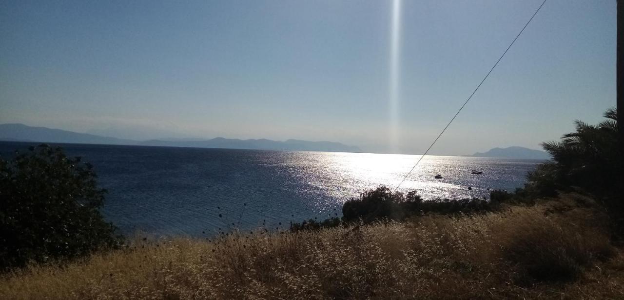 Γεώργιος Παπαϊωάννου Ενοικιαζόμενα Δωμάτια Khrónia Zewnętrze zdjęcie