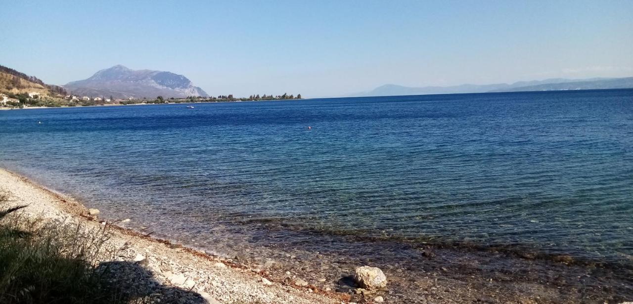 Γεώργιος Παπαϊωάννου Ενοικιαζόμενα Δωμάτια Khrónia Zewnętrze zdjęcie